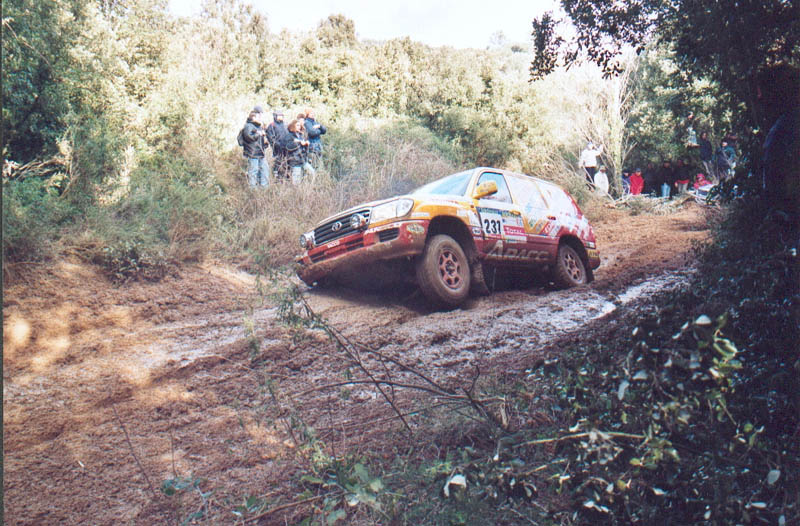 231_ratet_02.jpg