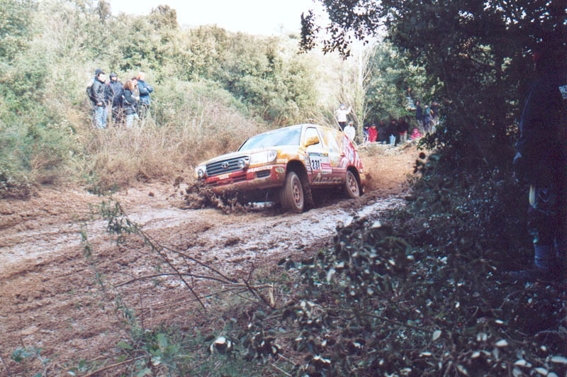 231_ratet_03.jpg