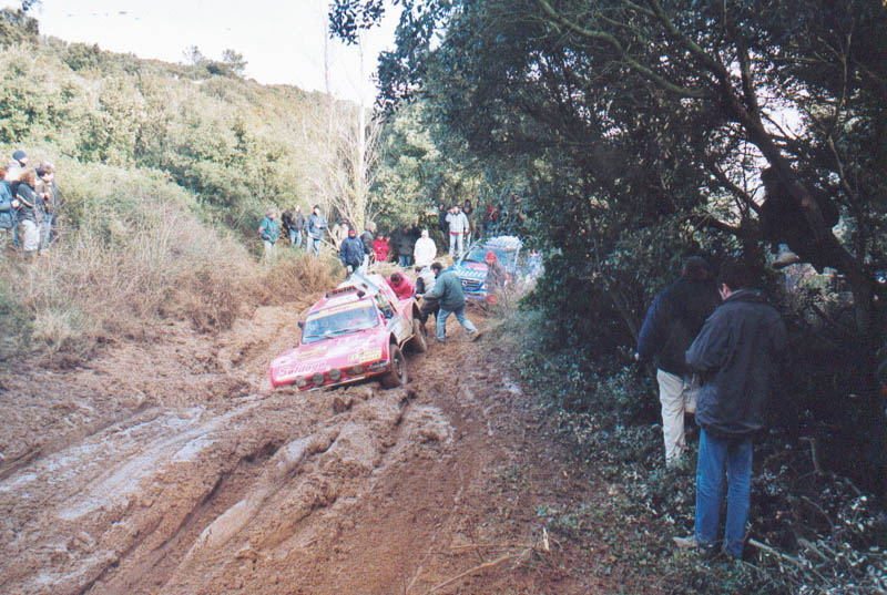242_arnoux_005.jpg