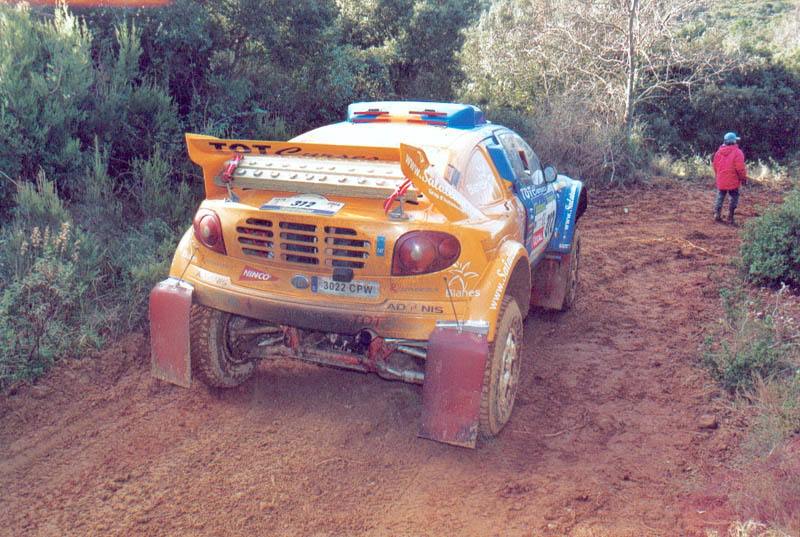 312_dalmau_02.jpg