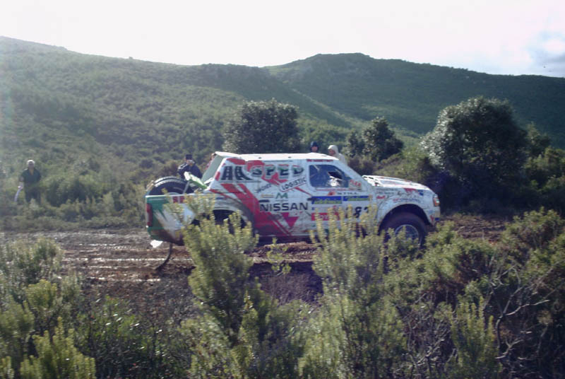 282-kis.jpg