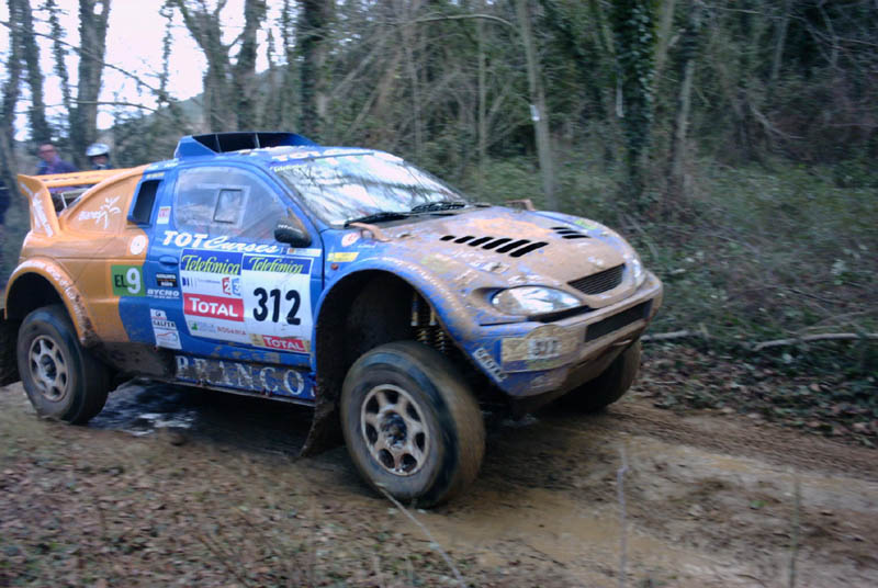 312-dalmau-002.jpg