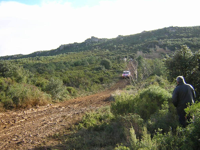 mcrae-202-001.jpg