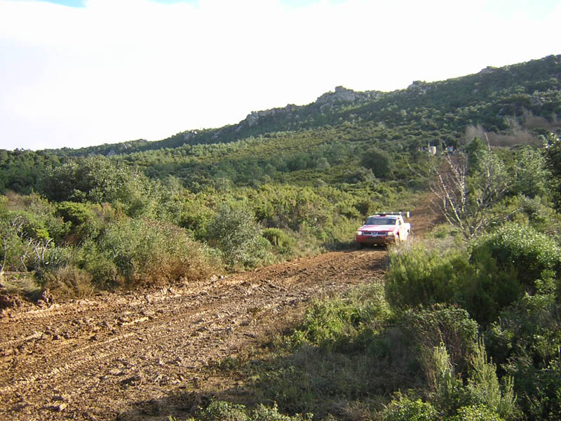 mcrae-202-003.jpg