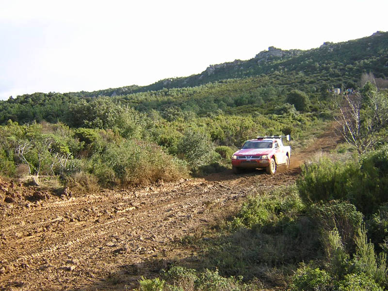 mcrae-202-004.jpg
