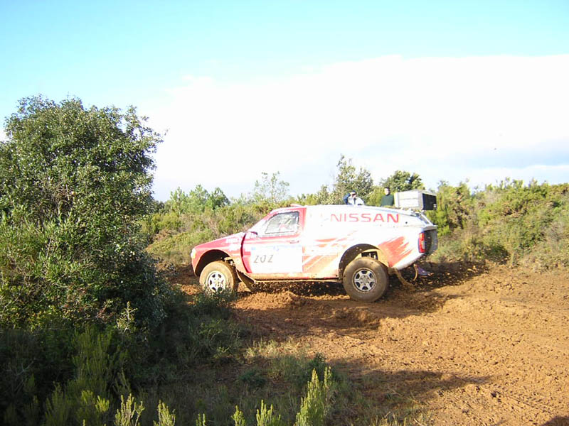 mcrae-202-209.jpg