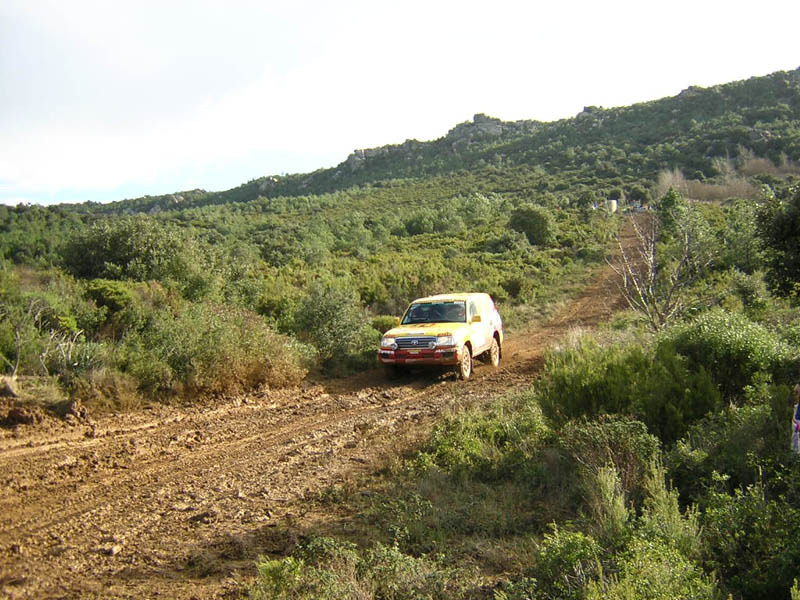 ratet-231-001.jpg
