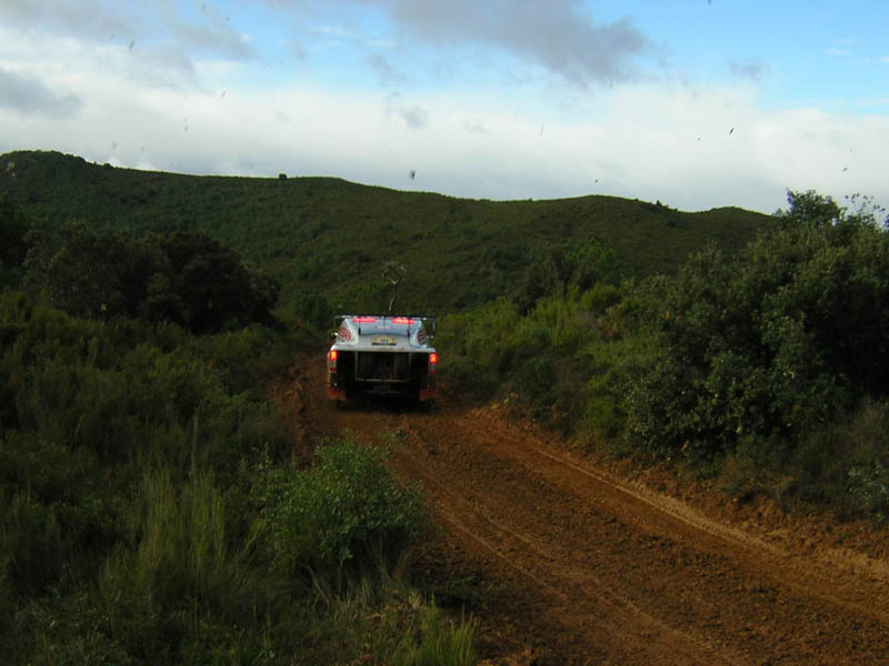 vatanen-205-006.jpg