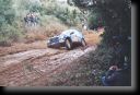 217_strugo_01.jpg