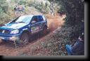 217_strugo_02.jpg