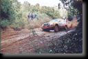 231_ratet_01.jpg