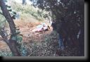 242_arnoux_001.jpg