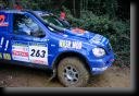 263-menguy-001.jpg