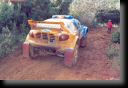312_dalmau_02.jpg