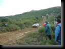 saby-224-001.jpg