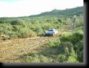 schlesser-200-002.jpg