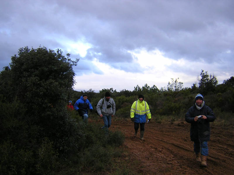 team012.jpg