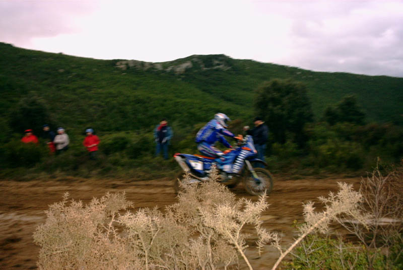 3-meoni.jpg