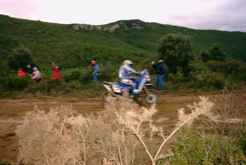 amateur-009.jpg