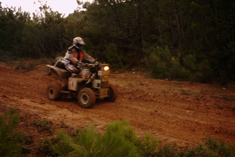 quad-001.jpg