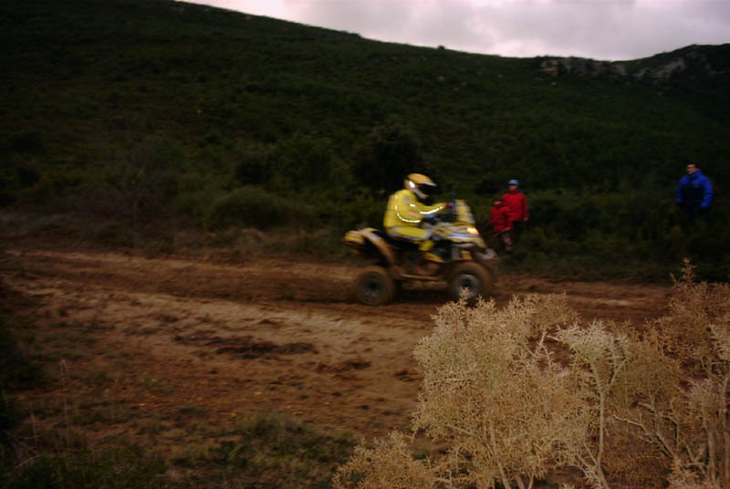 quad-002.jpg