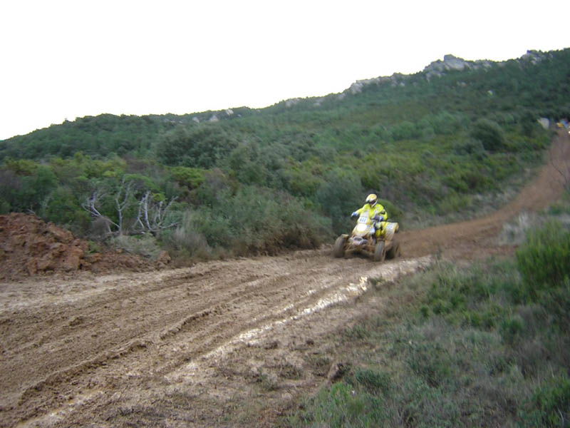 quad002.jpg
